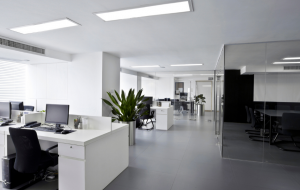 Create an Office Space Everyone Will Love