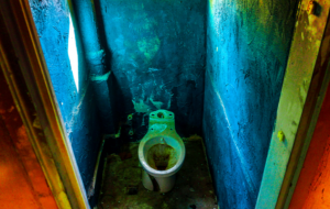 Would you Judge a Restaurant by its Toilet?
