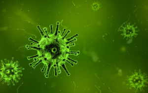 Solid Surfaces v Germs