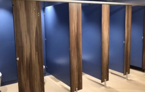 Toilet Cubicles – What Are My Options?