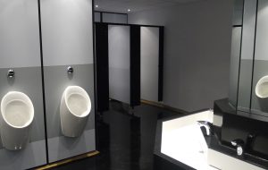 Don’t Flush Away the Importance of a Toilet!