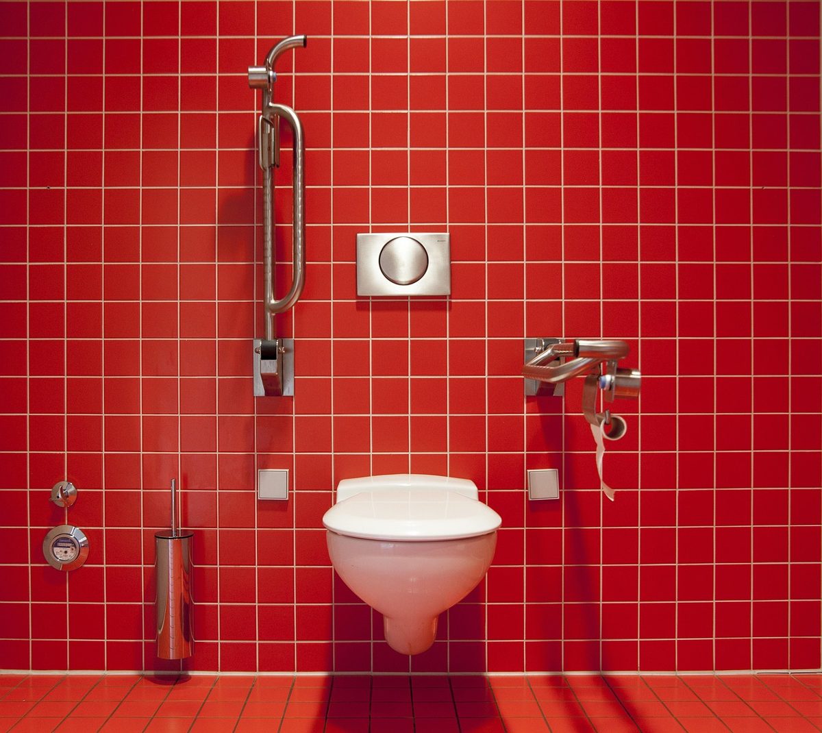 Wall-hung toilet with a vertical grab rail and a hinged grab bar by toilet